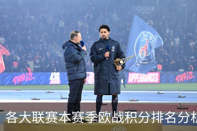 各大联赛本赛季欧战积分排名分析